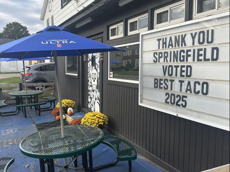 229 N Belmont Avenue, Springfield, OH 45503 Photo 27