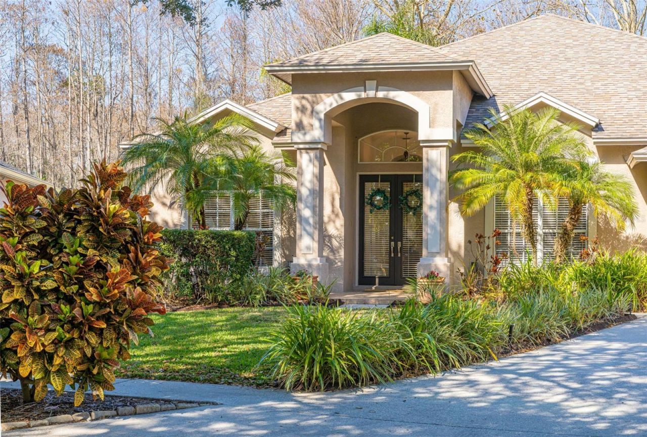 19321 Wind Dancer Street, Lutz, FL 33558 Main Photo