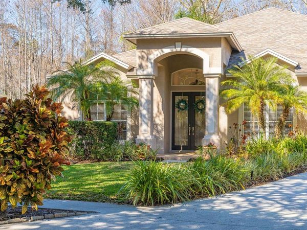 19321 WIND DANCER STREET, LUTZ, FL 33558