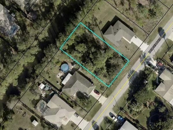 163 BRIDGEHAVEN DRIVE, PALM COAST, FL 32137