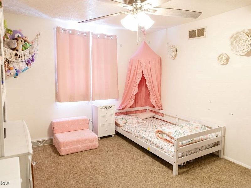 602 W Fernwood Avenue, Toronto, OH 43964 Photo 20