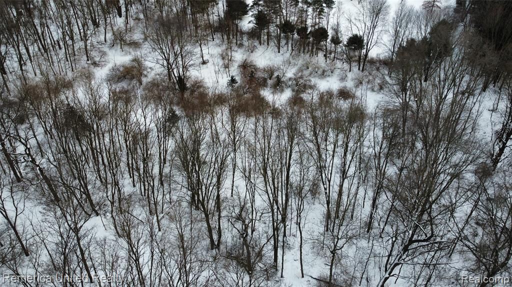 4297 Dinser Lane, Webster Township, MI 48189 Main Photo