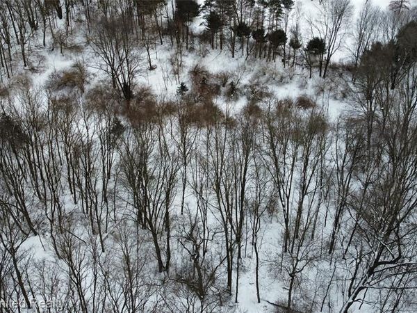 4297 Dinser Lane, Webster Twp, MI 48189