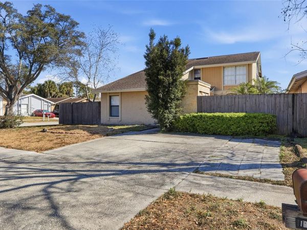 10311 ROSEMOUNT DRIVE, TAMPA, FL 33624