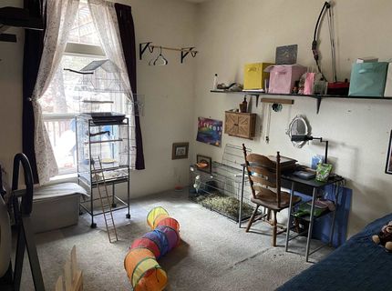 256 Cuesta Way, Delleker, CA 00000 Photo