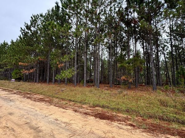 664 Mount Carmel Church Road, Alamo, GA 30411