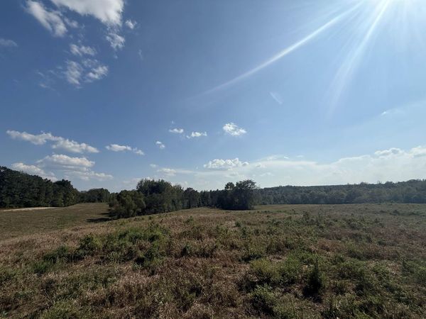 000 3 WAY RD, Decaturville, TN 38329