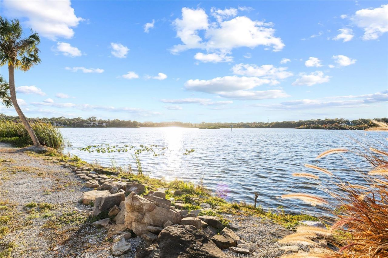 951 S Bayshore Boulevard, Safety Harbor, FL 34695 Photo