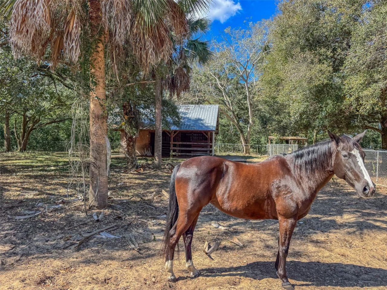 3655 N Scenic Highway, Lake Wales, FL 33898 Photo