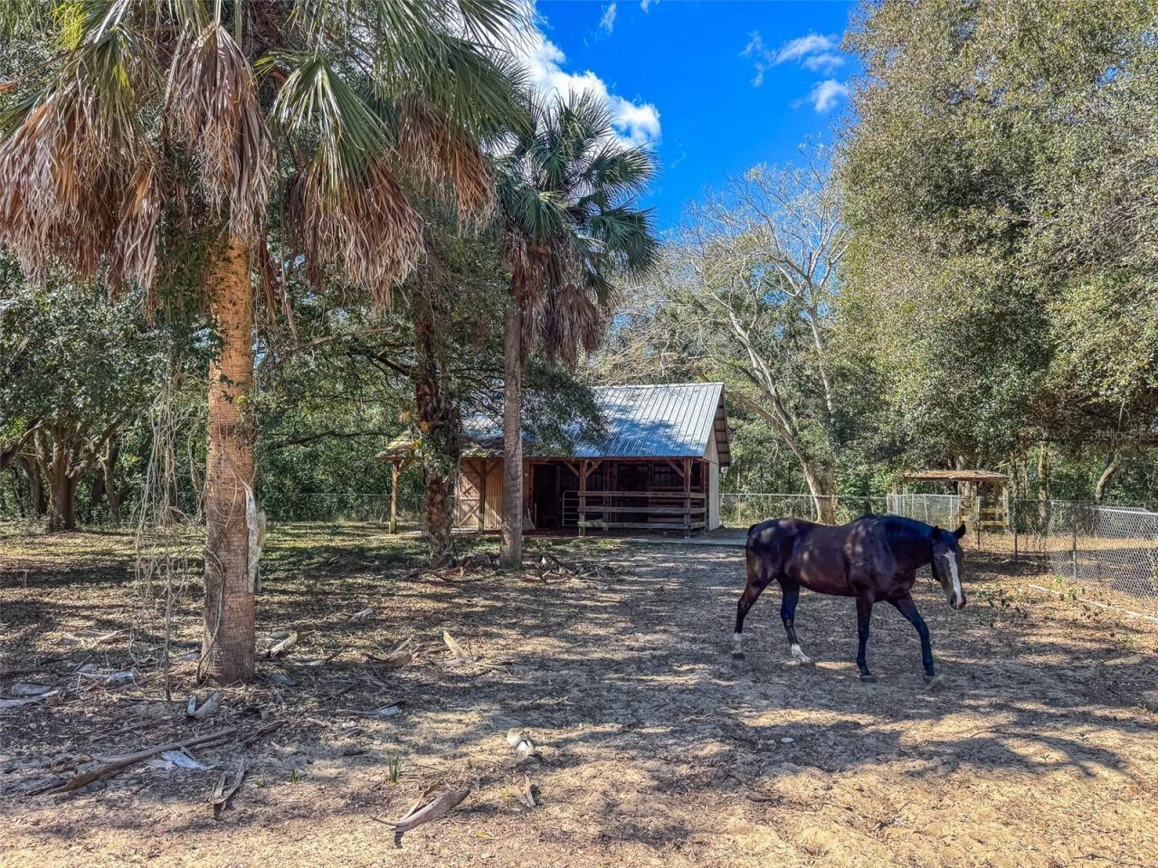 3655 N Scenic Highway, Lake Wales, FL 33898 Photo