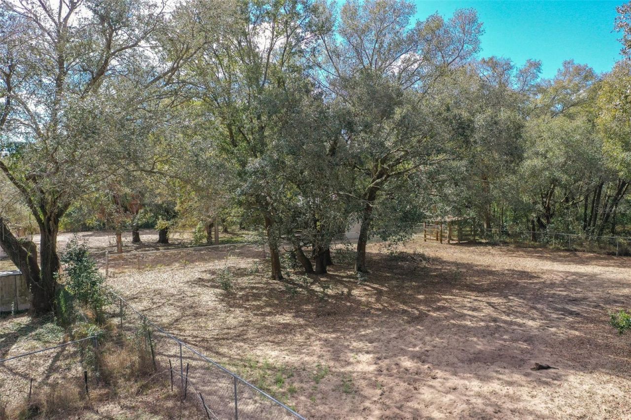 3655 N Scenic Highway, Lake Wales, FL 33898 Photo