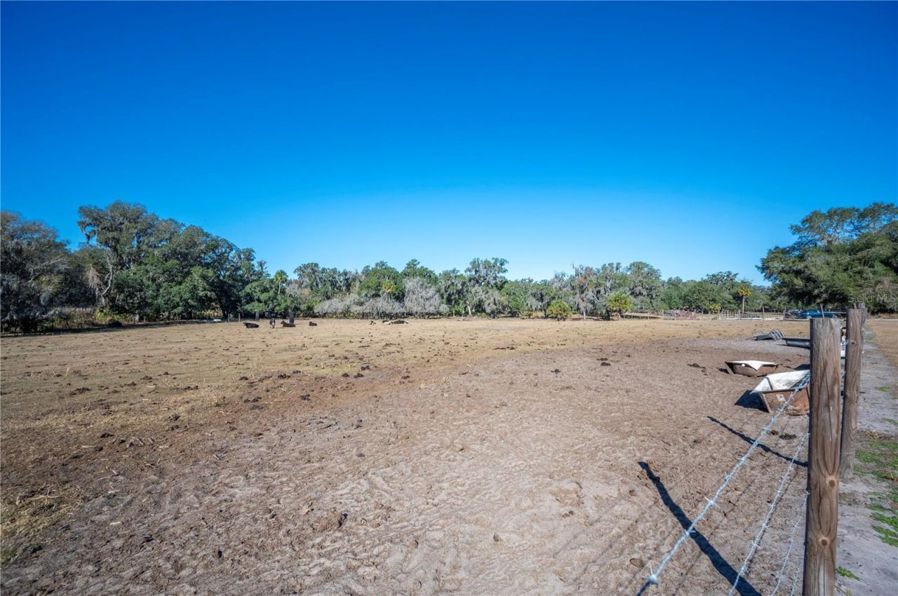 6531 Durant Road, Plant City, FL 33567 Photo