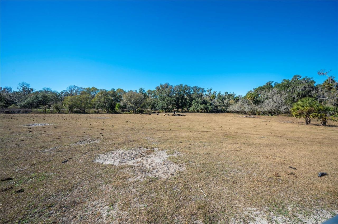 6531 Durant Road, Plant City, FL 33567 Photo