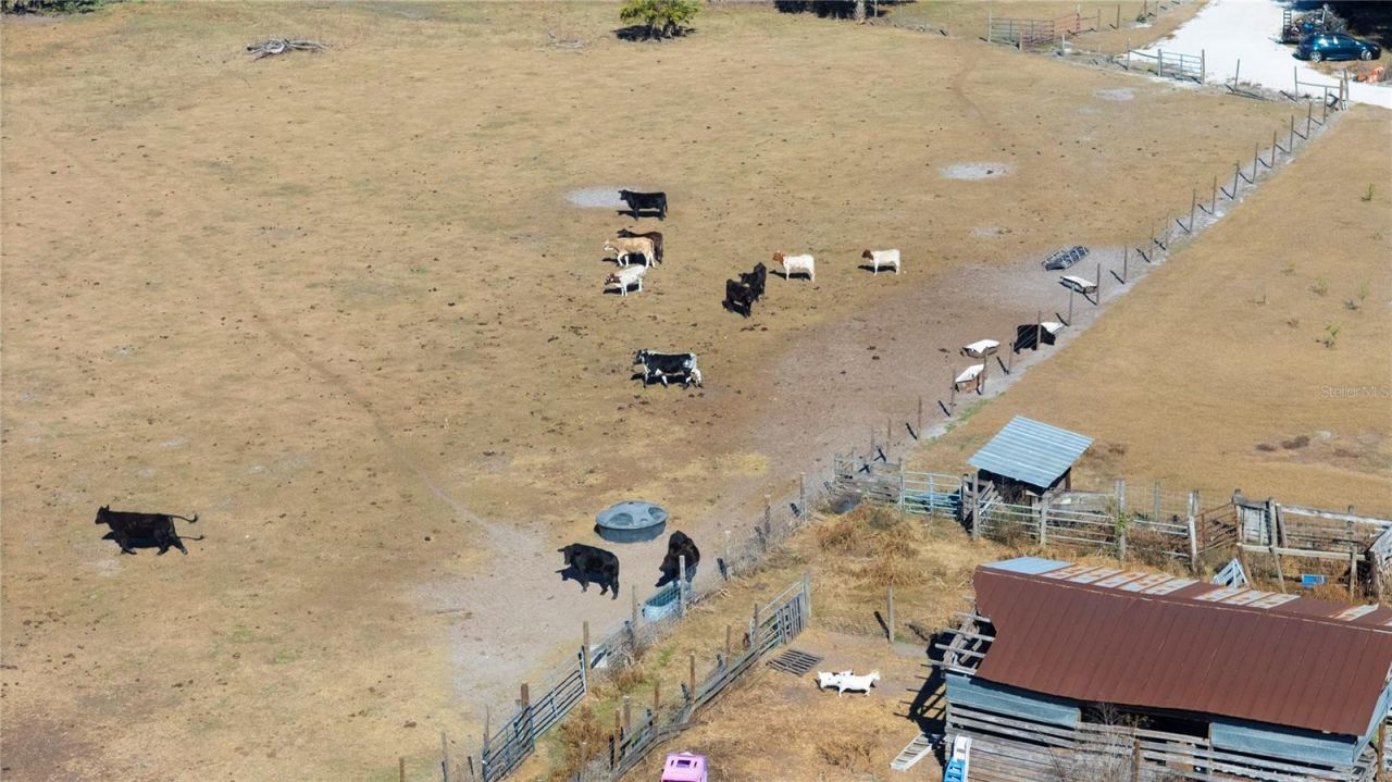 6531 Durant Road, Plant City, FL 33567 Photo