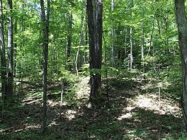 0 Old Highway 31E, Westmoreland, TN 37186