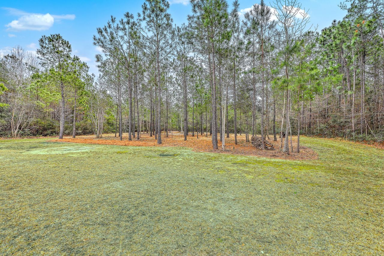 7871 N Highway 17 Photo 34