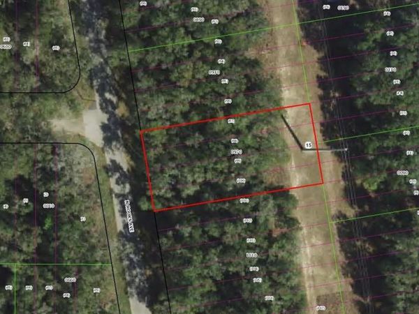 913 N ROOKS AVENUE, INVERNESS, FL 34453