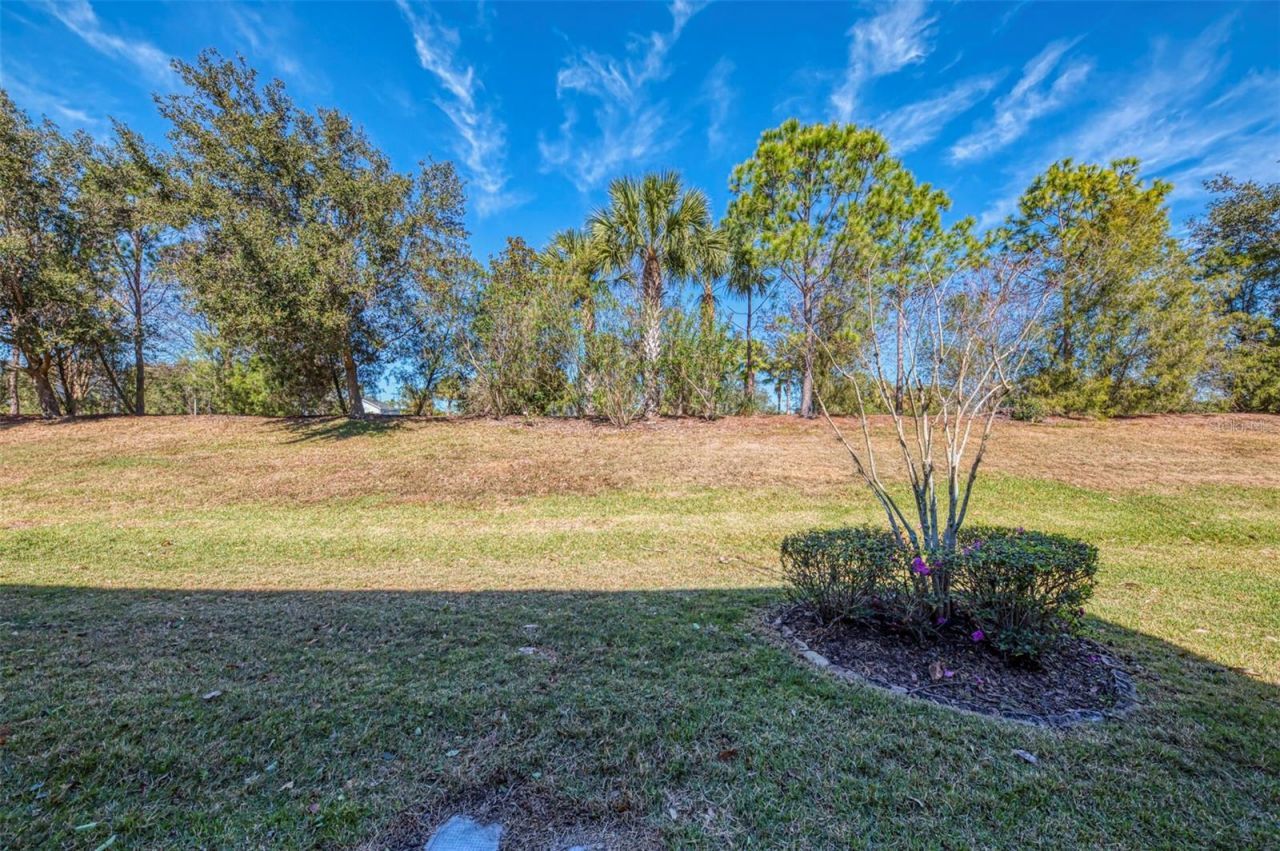 12369 Trailhead Drive, Bradenton, FL 34211 Photo