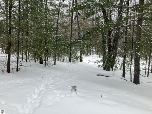 Wilderness Circle, Alger, MI 48610