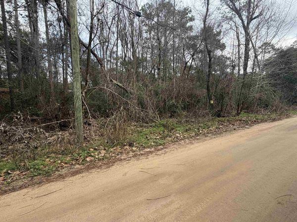 XX Baby Farm Drive, Tallahassee, FL 32310