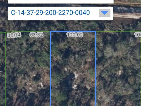 932 Island Parkway NE, Lake Placid, FL 33852