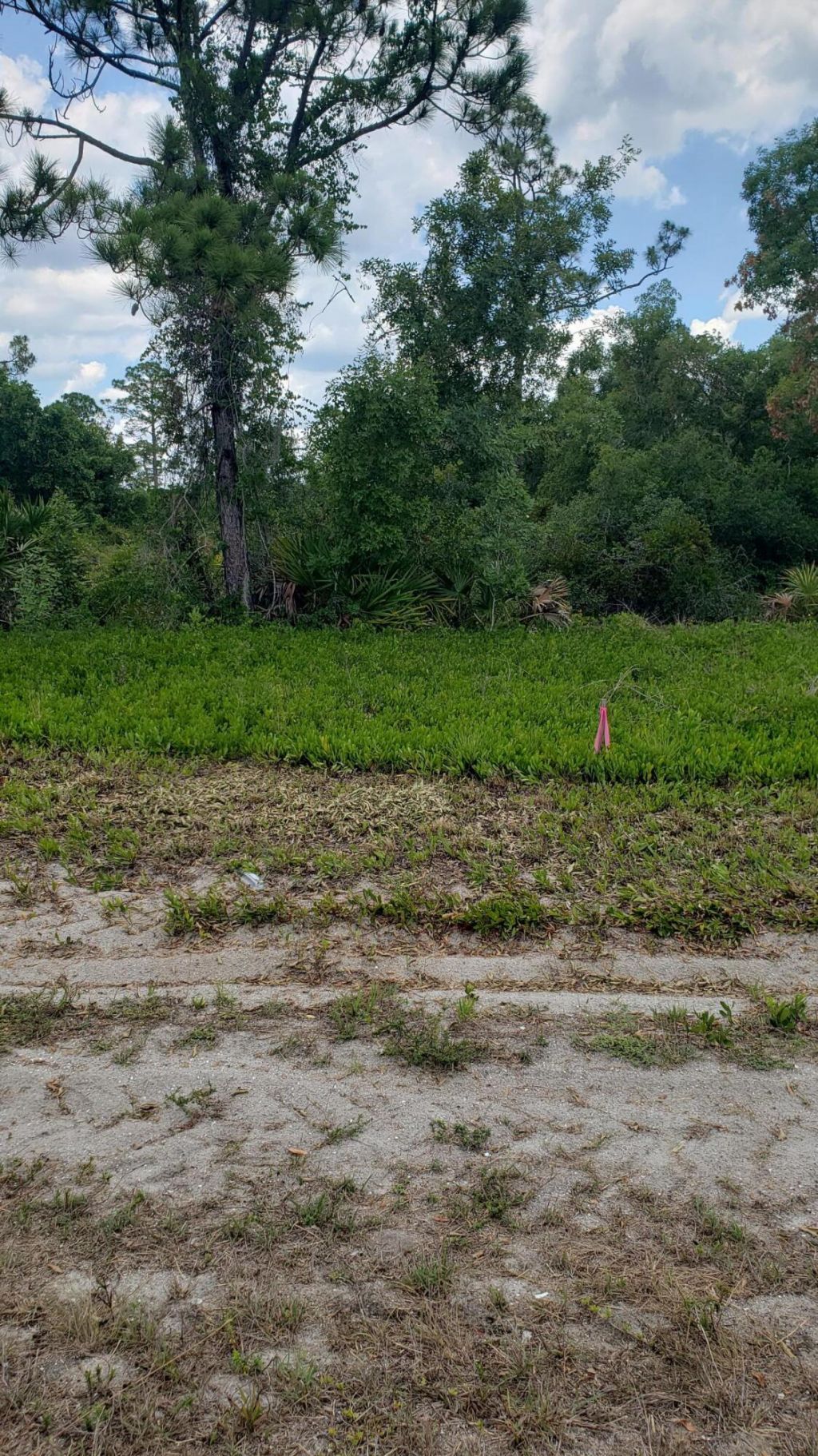 932 Island Parkway Ne, Lake Placid, FL 33852 Photo