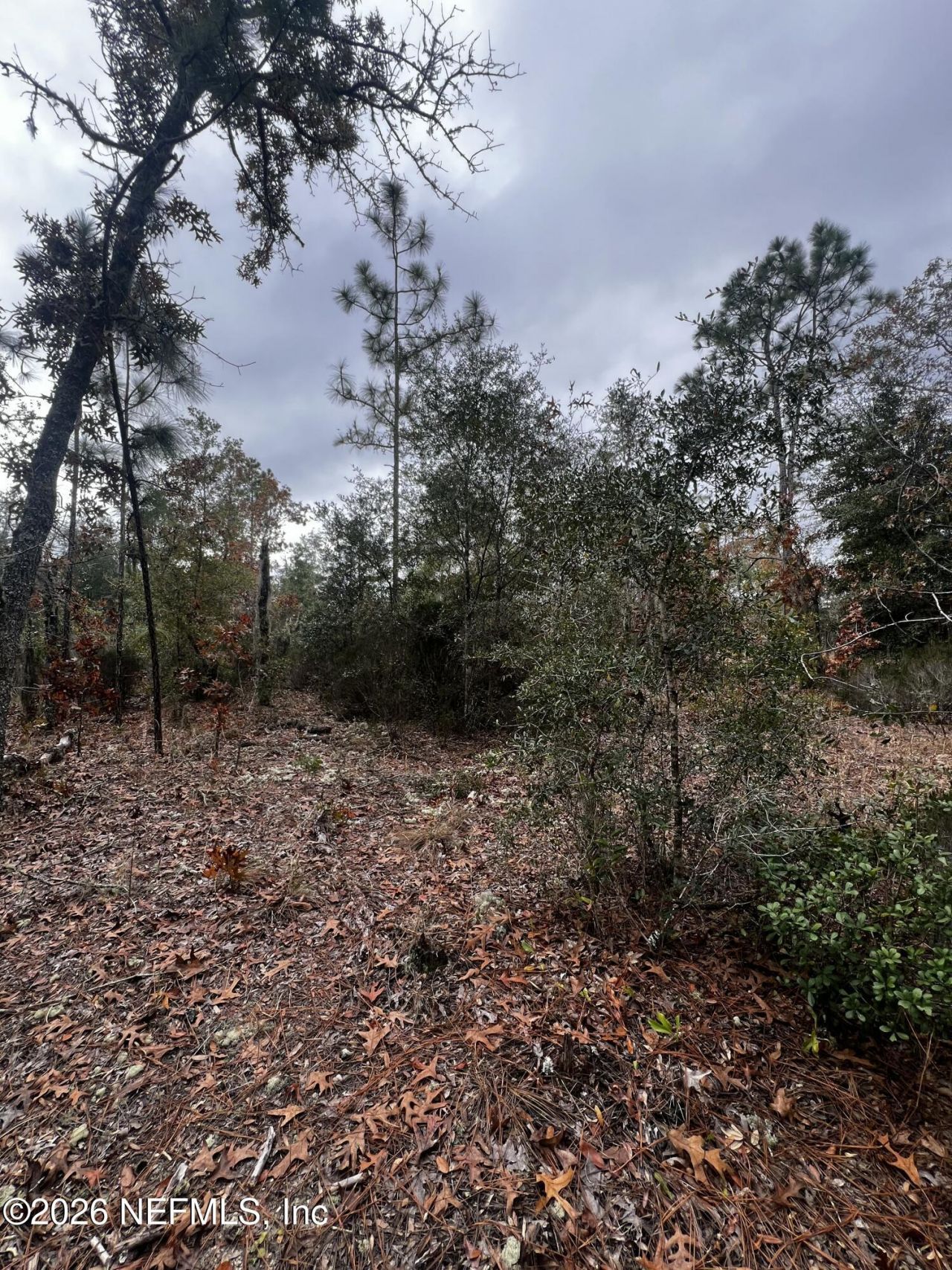 307 Lemon Street, Interlachen, FL 32148 Photo