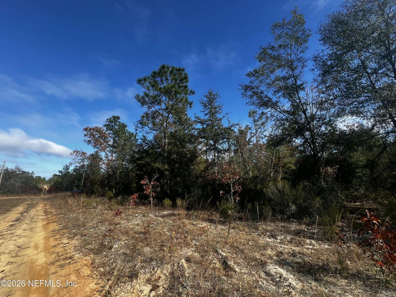 307 Lemon Street, Interlachen, FL 32148 Photo