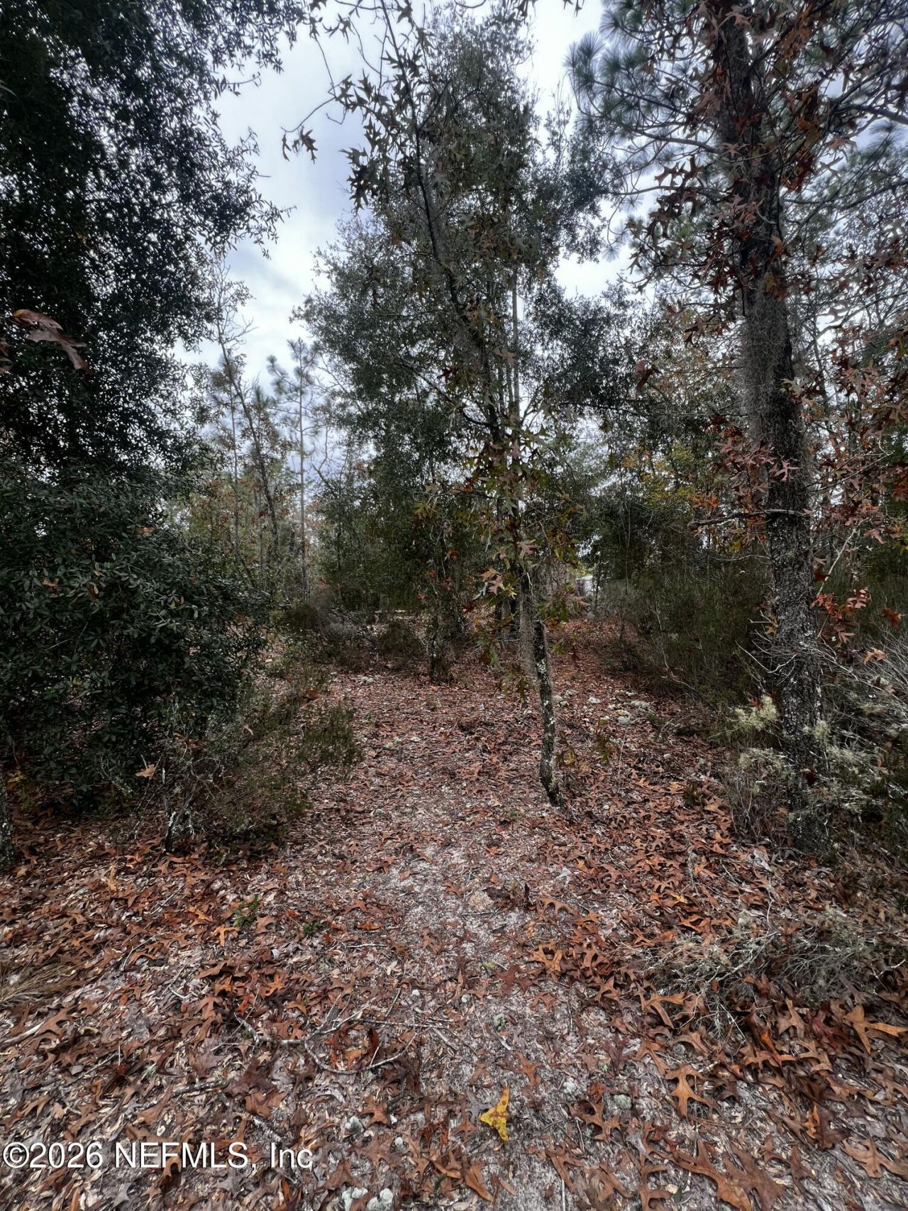 307 Lemon Street, Interlachen, FL 32148 Photo