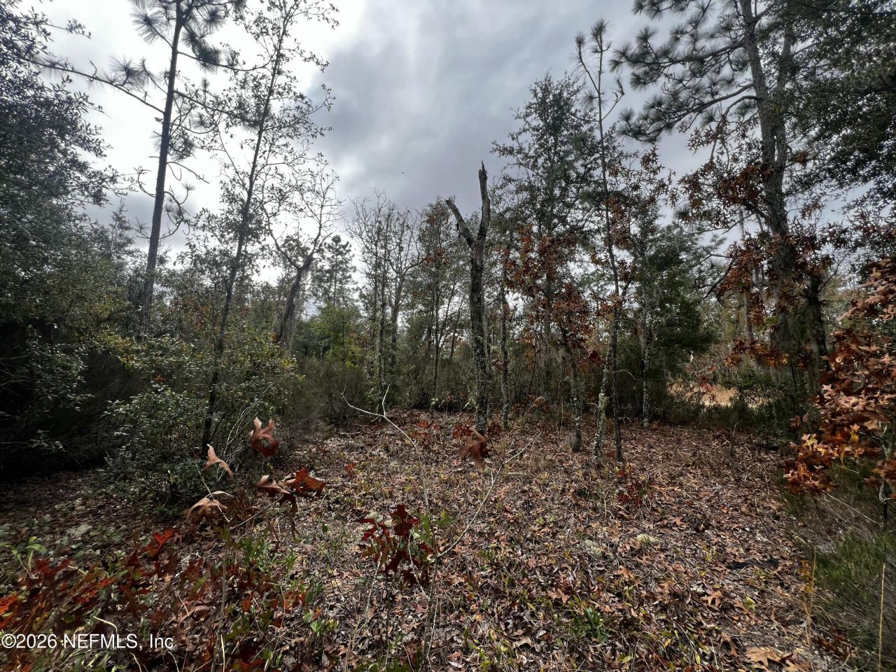 307 Lemon Street, Interlachen, FL 32148 Photo