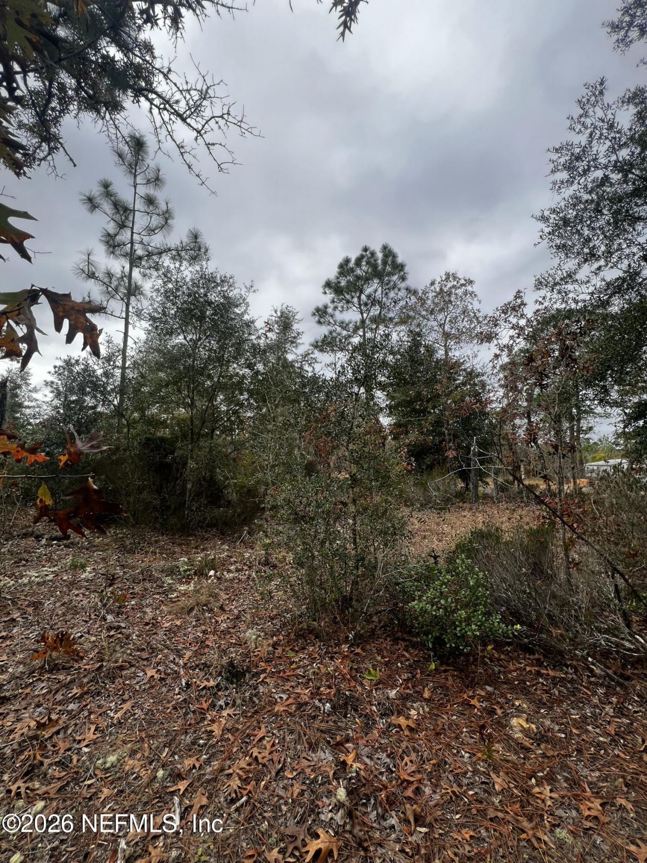 307 Lemon Street, Interlachen, FL 32148 Photo