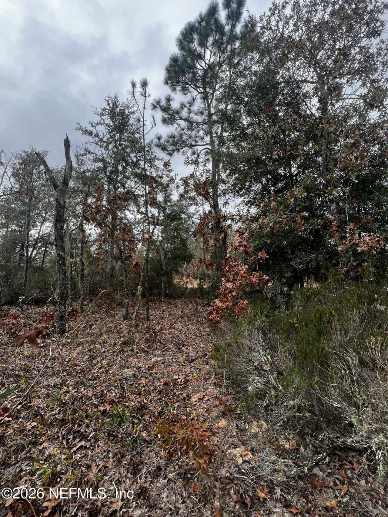 307 Lemon Street, Interlachen, FL 32148 Photo