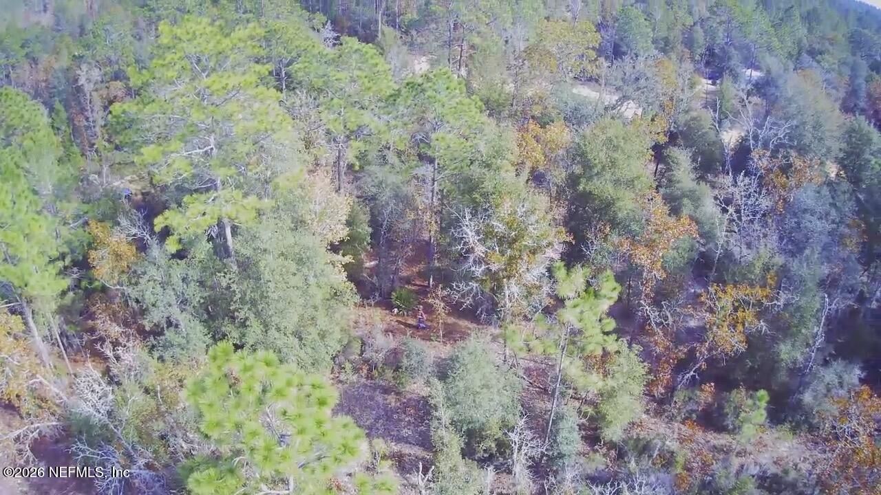 307 Lemon Street, Interlachen, FL 32148 Photo