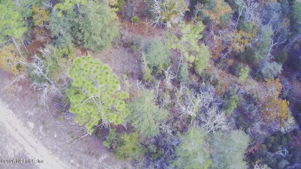 307 Lemon Street, Interlachen, FL 32148 Photo