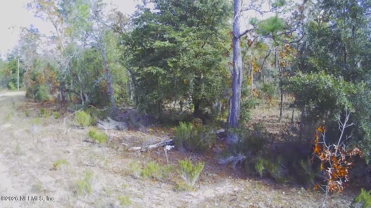 307 Lemon Street, Interlachen, FL 32148 Photo