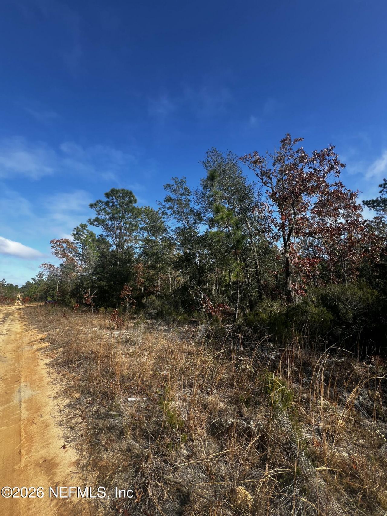 307 Lemon Street, Interlachen, FL 32148 Photo