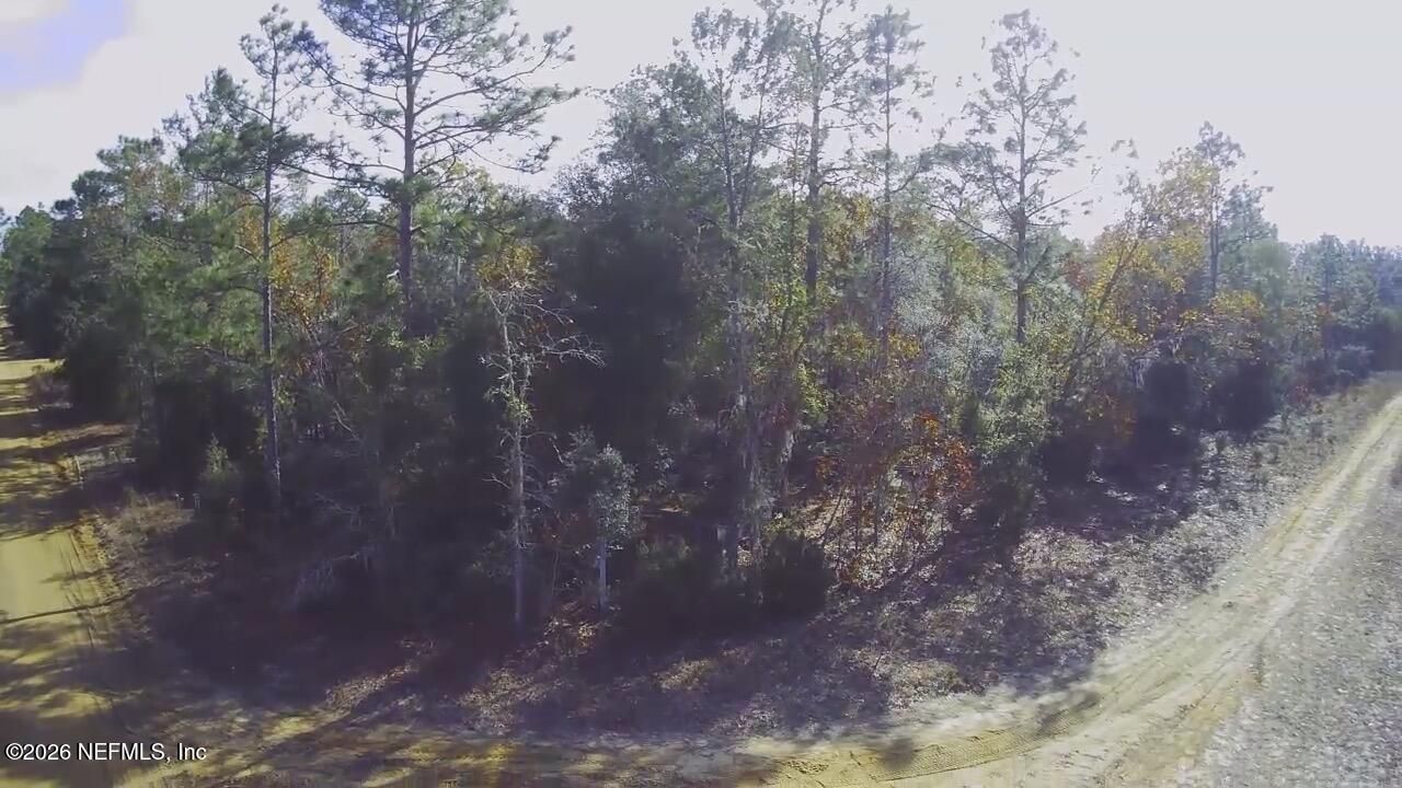 307 Lemon Street, Interlachen, FL 32148 Photo