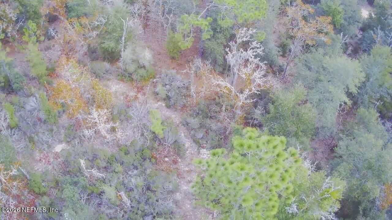 307 Lemon Street, Interlachen, FL 32148 Photo