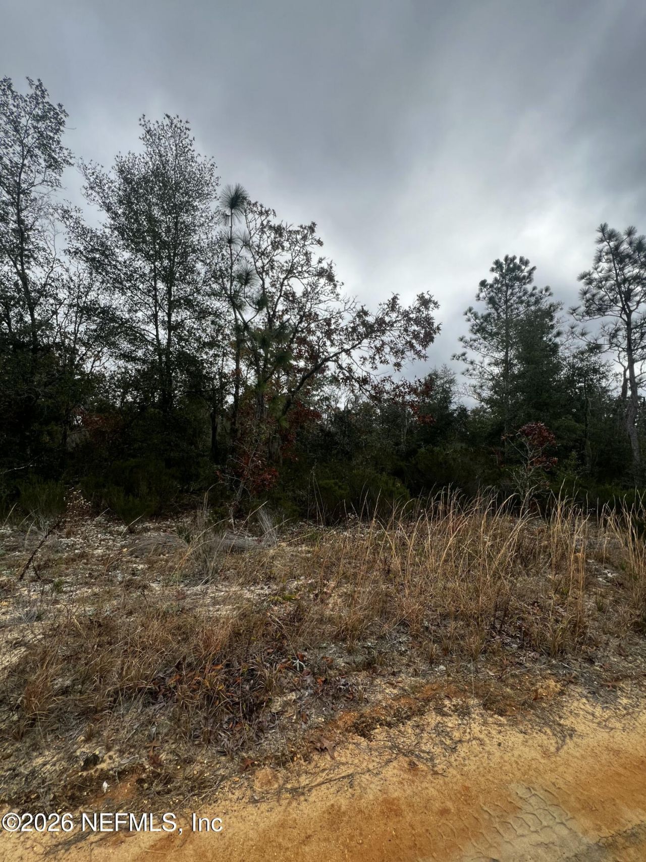 307 Lemon Street, Interlachen, FL 32148 Photo