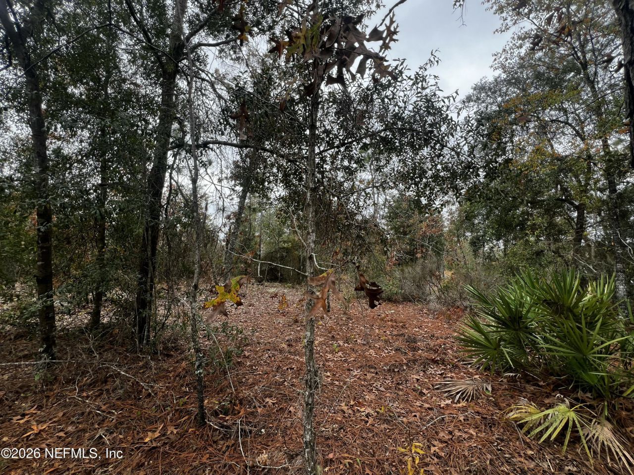 307 Lemon Street, Interlachen, FL 32148 Photo