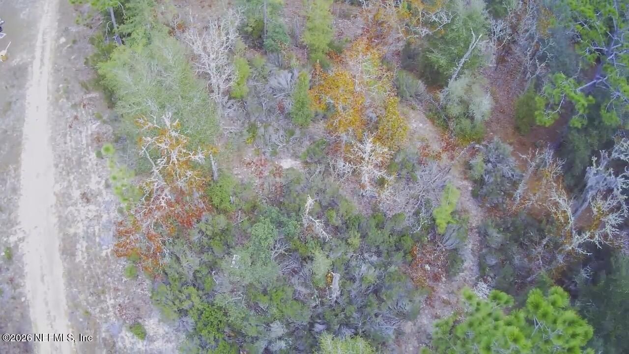307 Lemon Street, Interlachen, FL 32148 Photo
