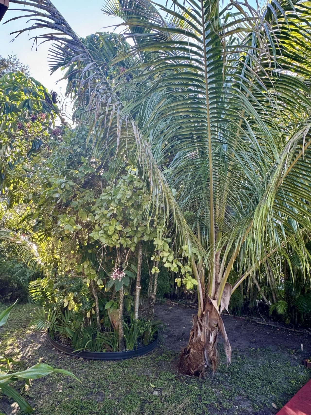 5000 SW 5 Terrace, Miami, FL 33134 Photo