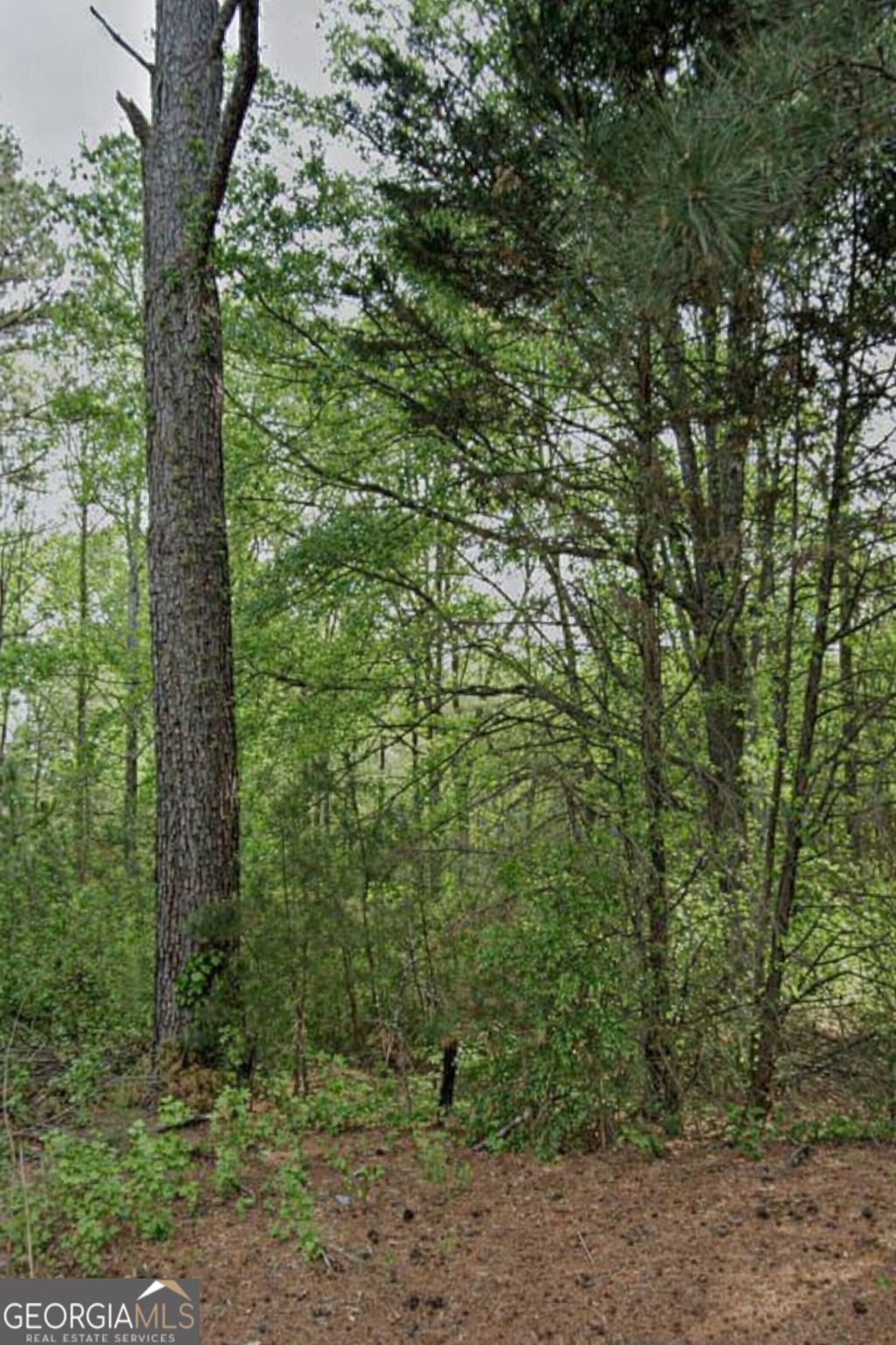 3023 Valley View Drive Sw, Powder Springs, GA 30127 Main Photo