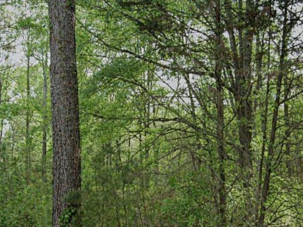 3023 Valley View Drive SW, Powder Springs, GA 30127
