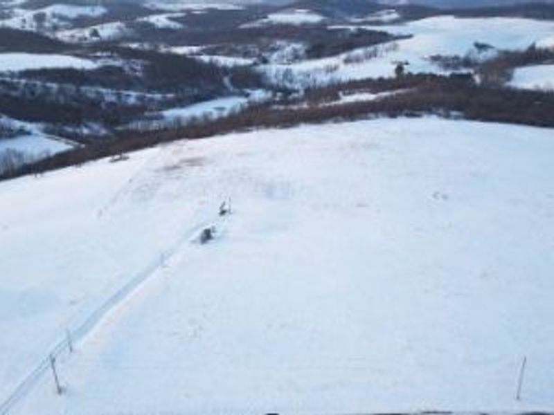 Township Road 261, West Lafayette, OH 43845 Photo 1