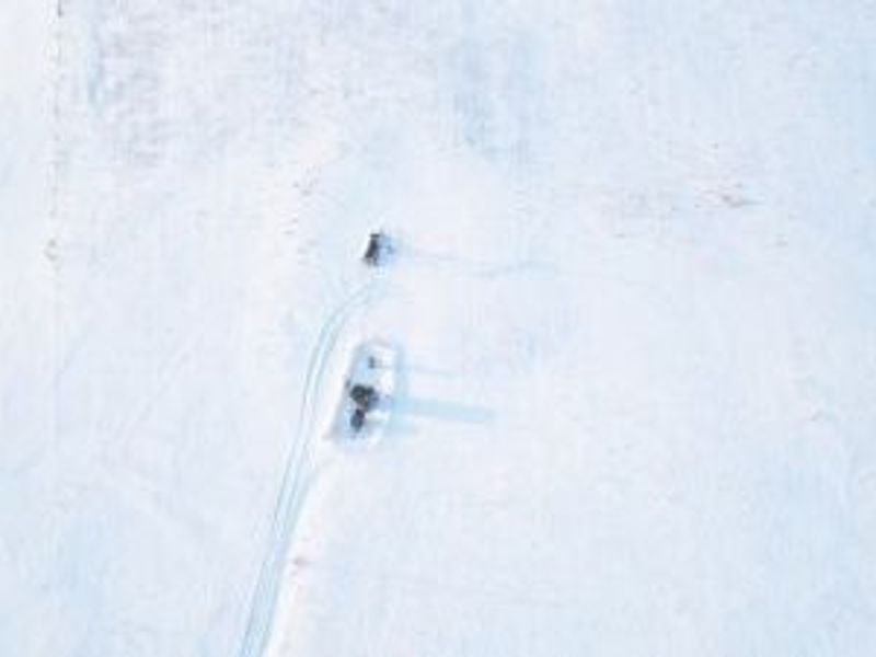 Township Road 261, West Lafayette, OH 43845 Photo 8