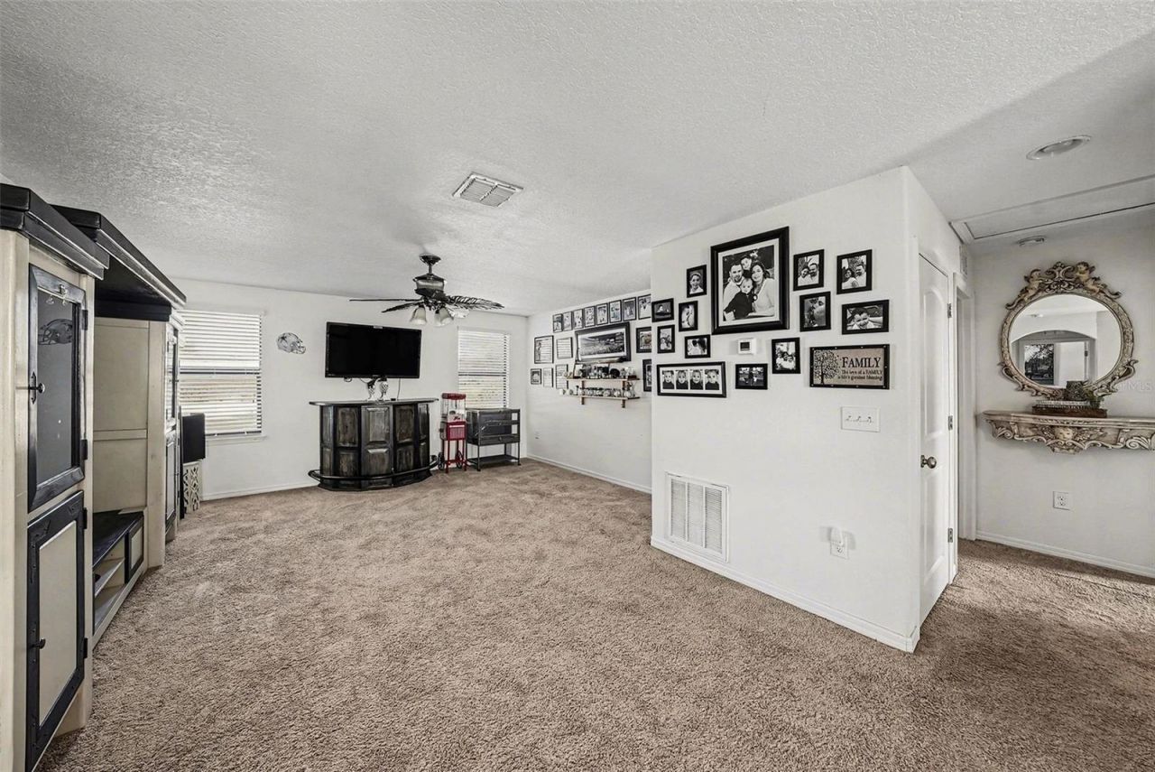 12530 Ballentrae Forest Drive, Riverview, FL 33579 Photo