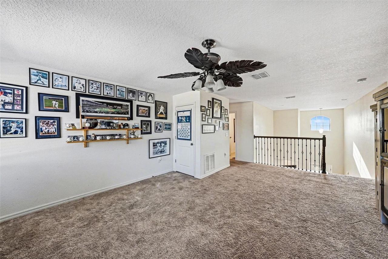 12530 Ballentrae Forest Drive, Riverview, FL 33579 Photo