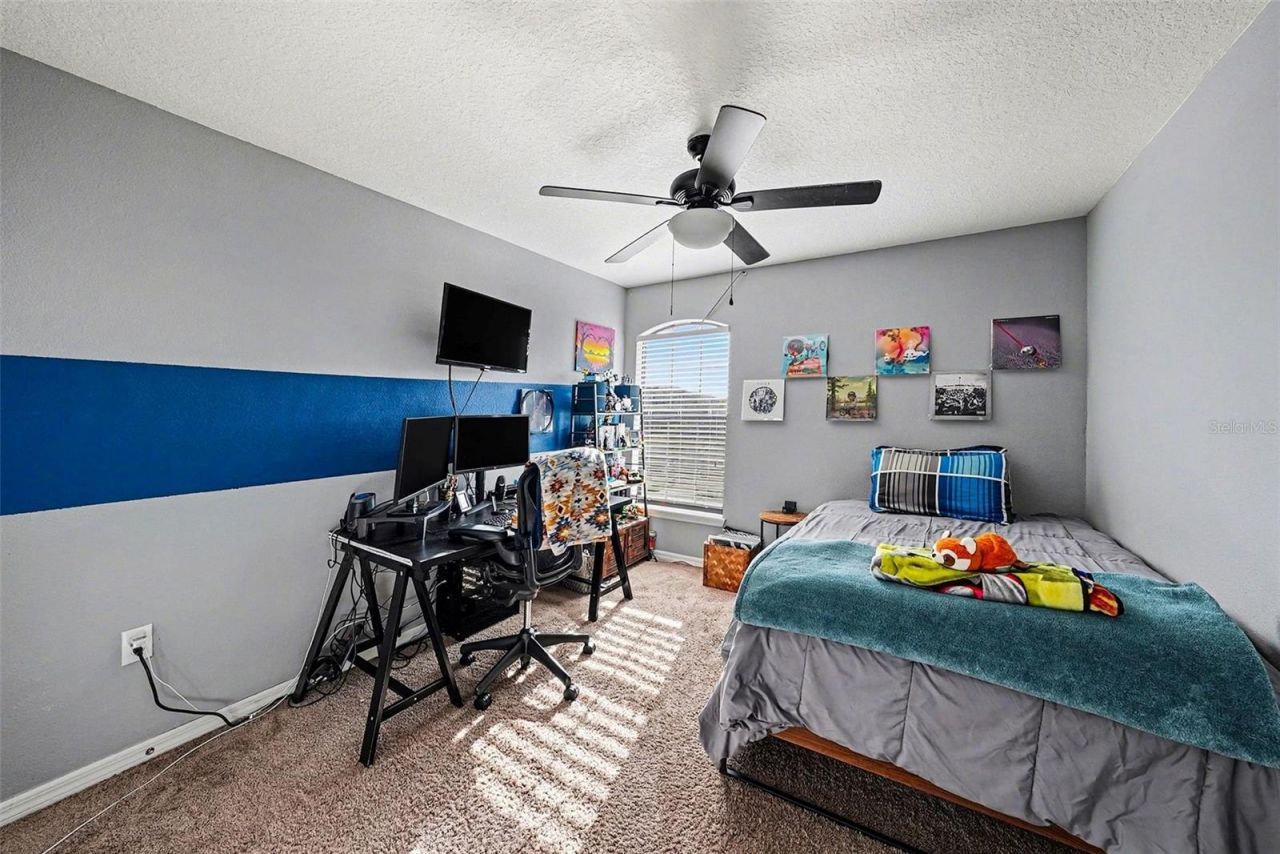 12530 Ballentrae Forest Drive, Riverview, FL 33579 Photo