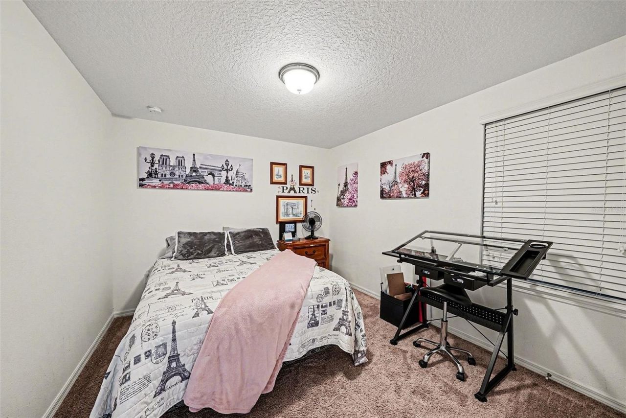 12530 Ballentrae Forest Drive, Riverview, FL 33579 Photo